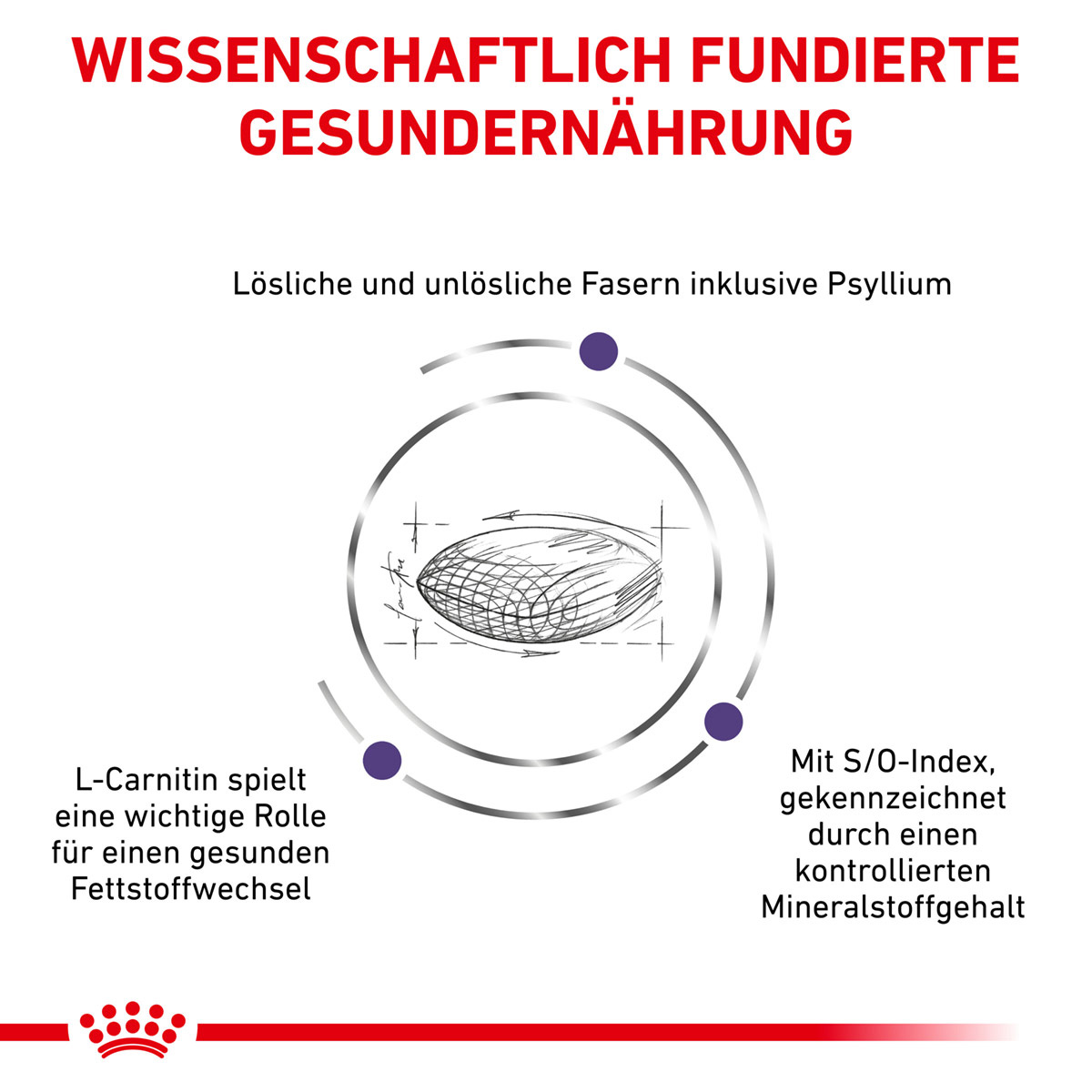 ROYAL CANIN Expert NEUTERED SATIETY BALANCE Trockenfutter für Katzen