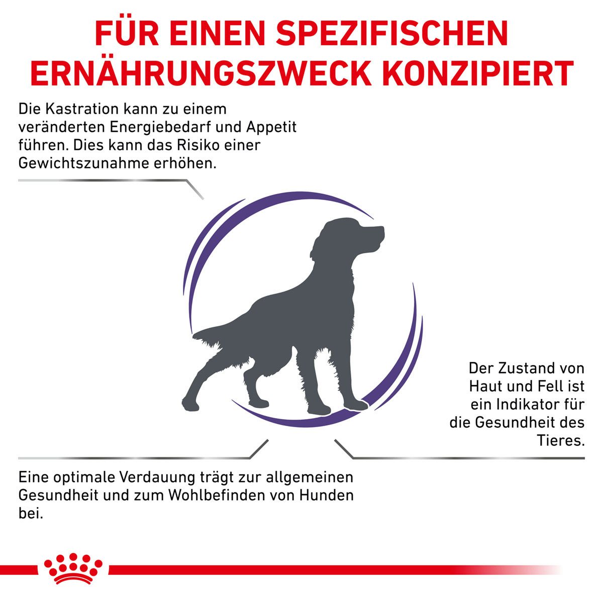 ROYAL CANIN Expert NEUTERED ADULT MEDIUM DOGS Trockenfutter für Hunde