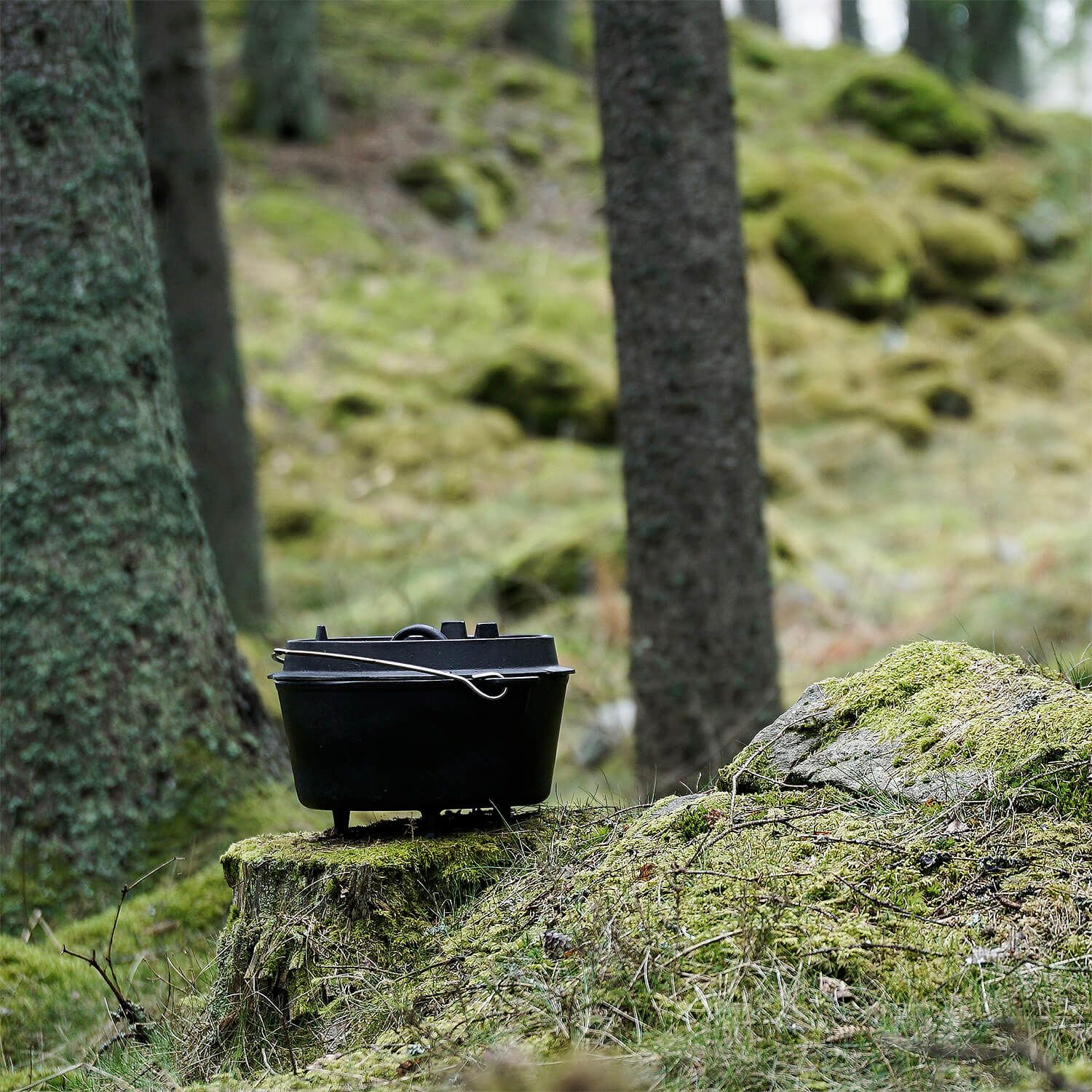 Dutch Oven Feuertopf