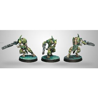 Combined Army Gwailos (Spitfire)