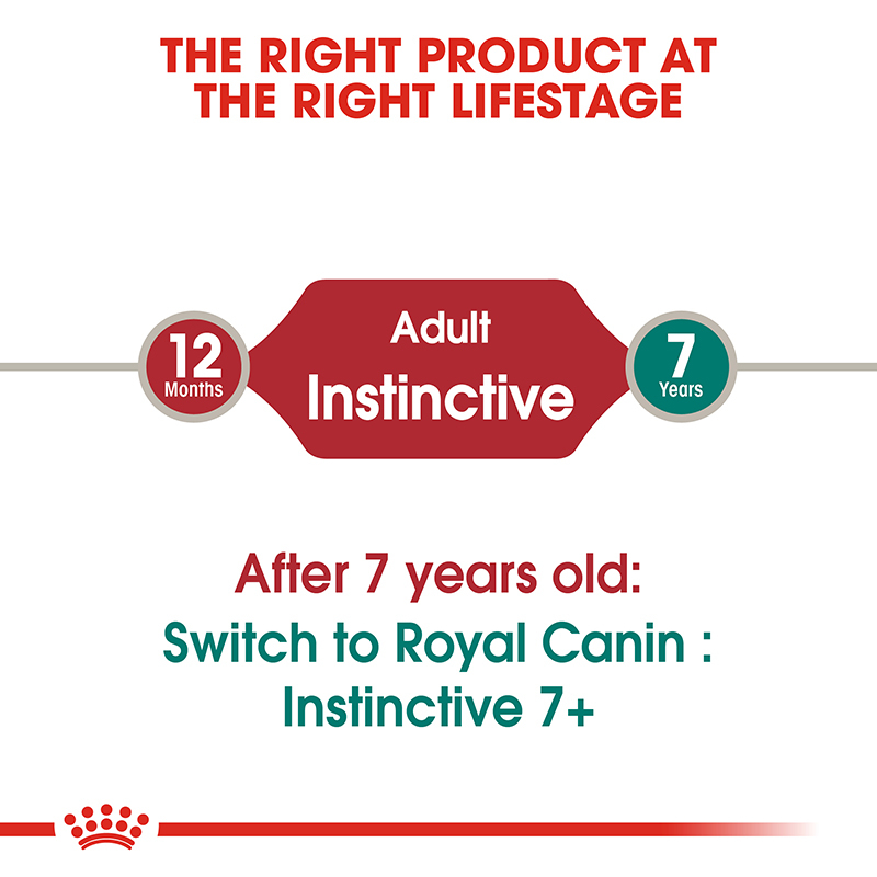 ROYAL CANIN Nassfutter ROYAL CANIN Instinctive 12x85g in Soße