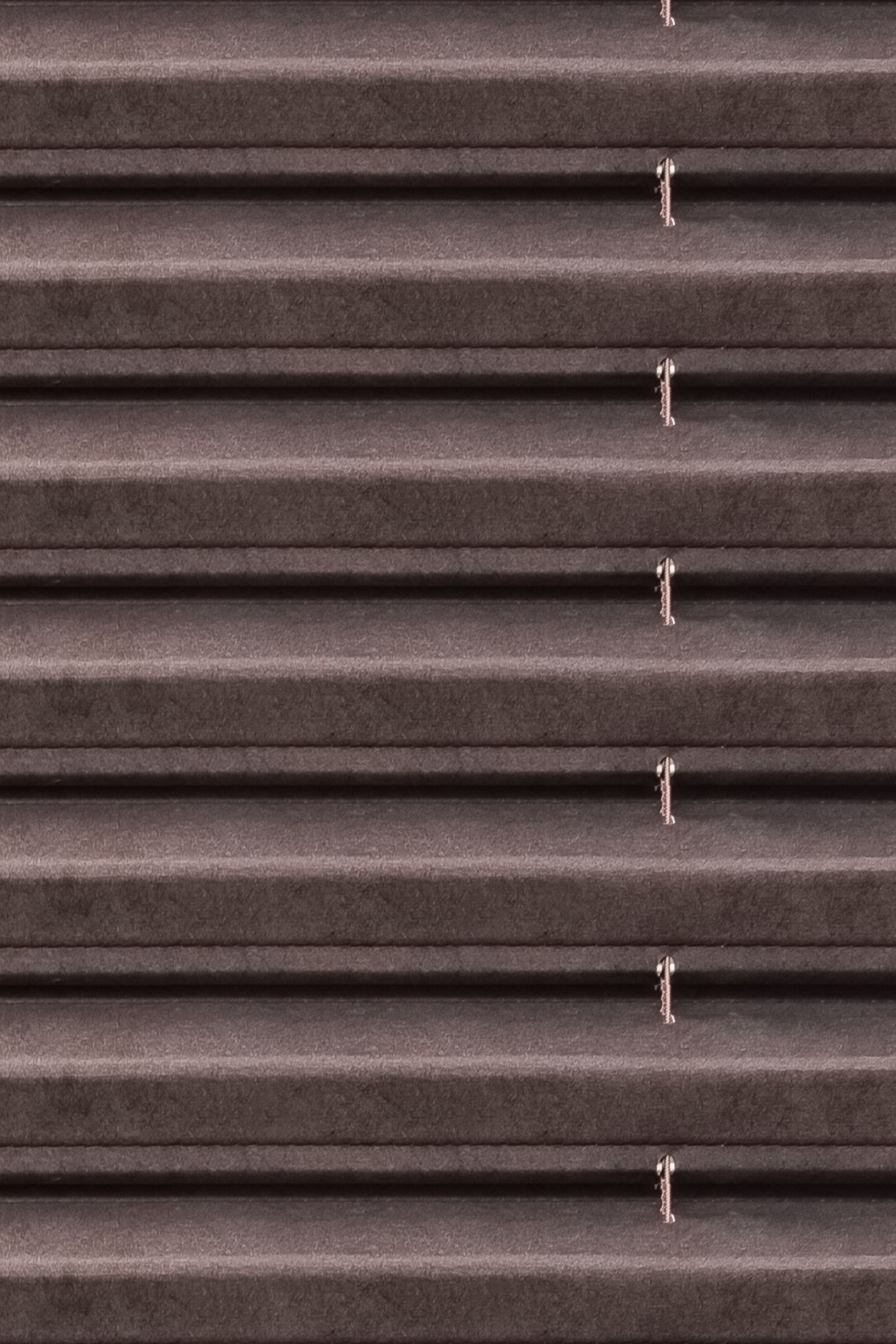 Jalousie Jalousie mit Plissee-Effekt, LYSEL®, HxB 180x90cm