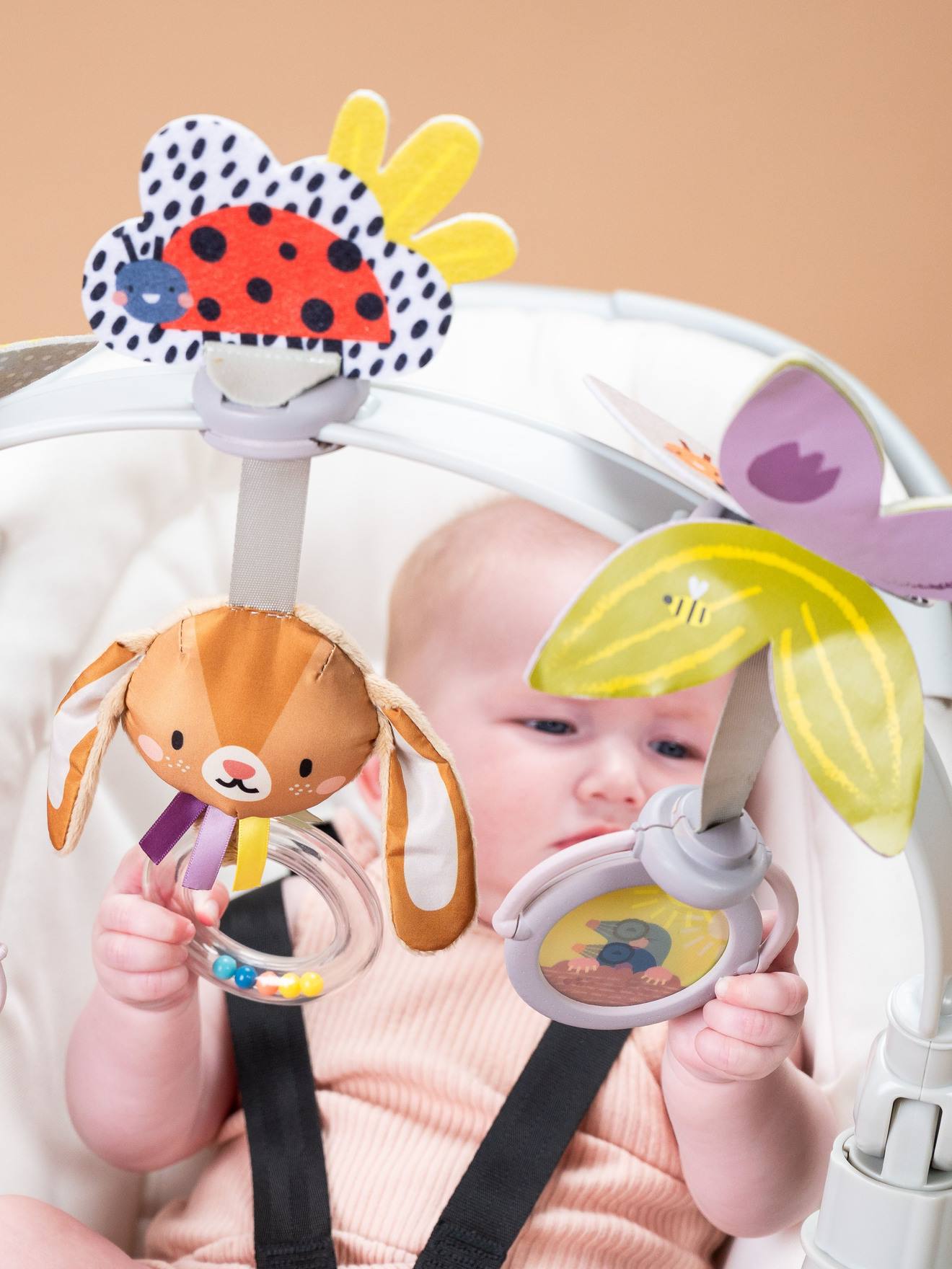 Taf Toys Baby Kinderwagen-Spielbogen Garten TAF TOYS - mehrfarbig