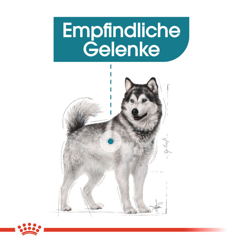 ROYAL CANIN Hundetrockenfutter ROYAL CANIN Maxi Joint Care 3 kg