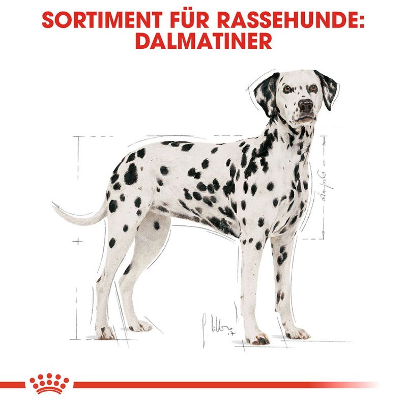 Royal Canin Dalmatian Adult