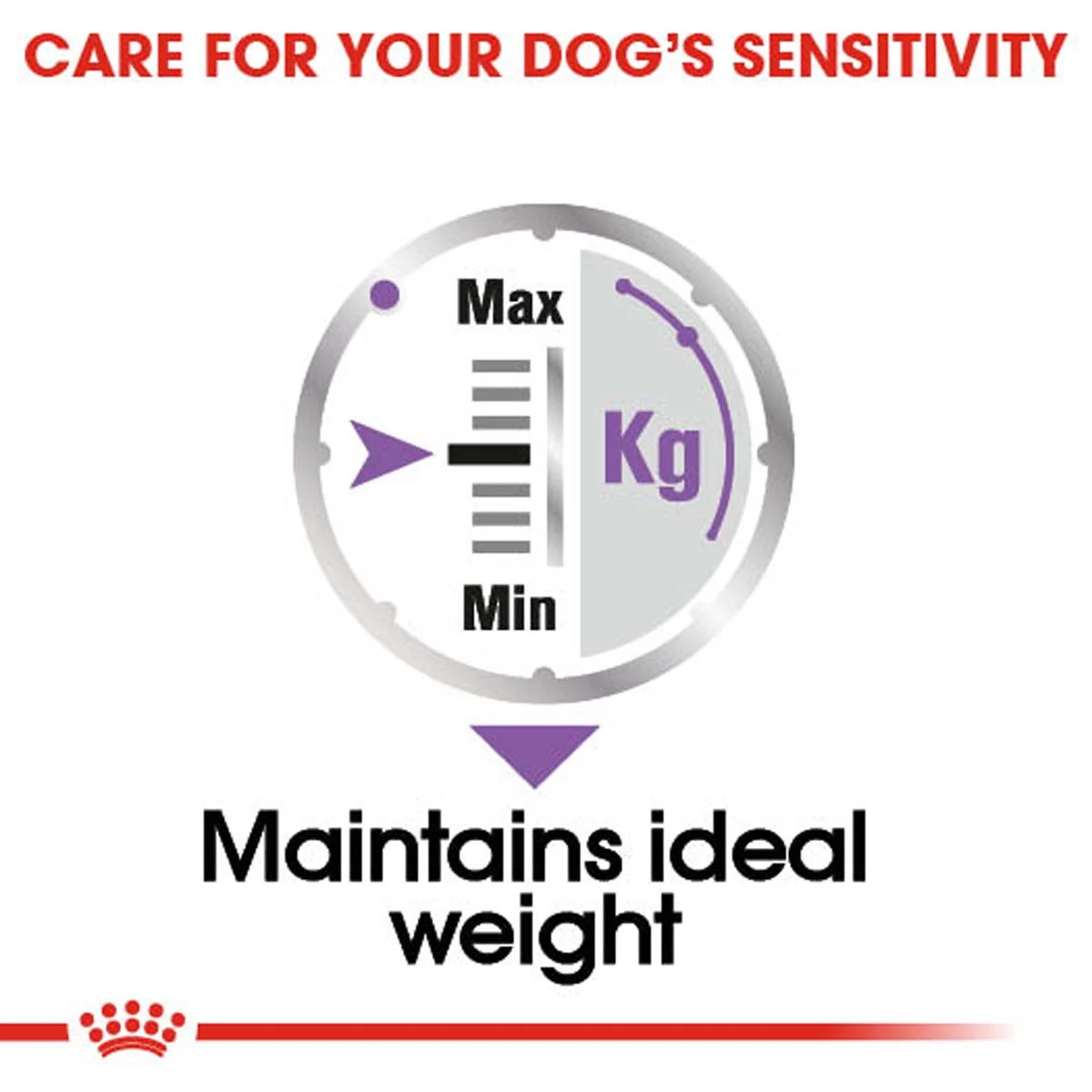 ROYAL CANIN STERILISED Nassfutter für kastrierte Hunde 12x85g