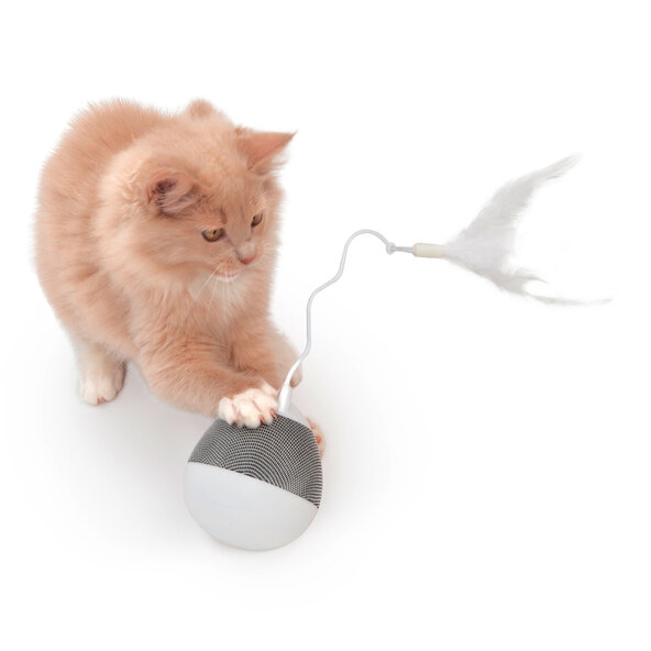 Katzenspielzeug Pixi Spinner