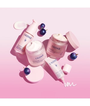 CAUDALIE Resveratrol-Lift Kräuter-Nachtcreme Refill Nachtcreme-50 ml
