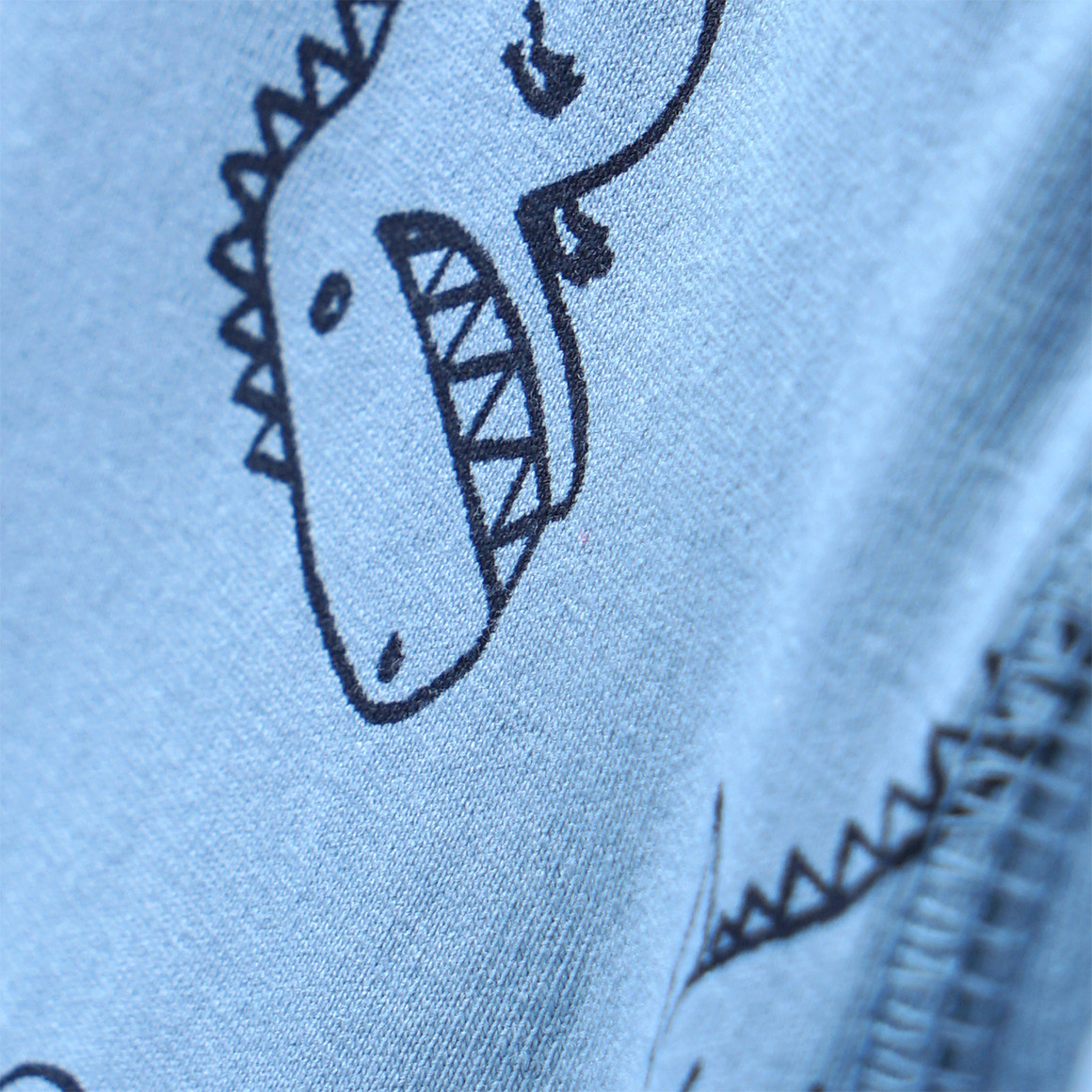 5 Jungen Boxer in verschiedenen Dessins