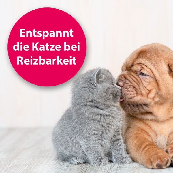 Felisept Beruhigungsmittel Felisept Home Comfort Beruhigungshalsband für Katzen