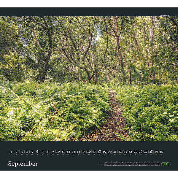 GEO KLASSIKER: TRAUMPFADE 2024 - WAND-KALENDER - Kalender