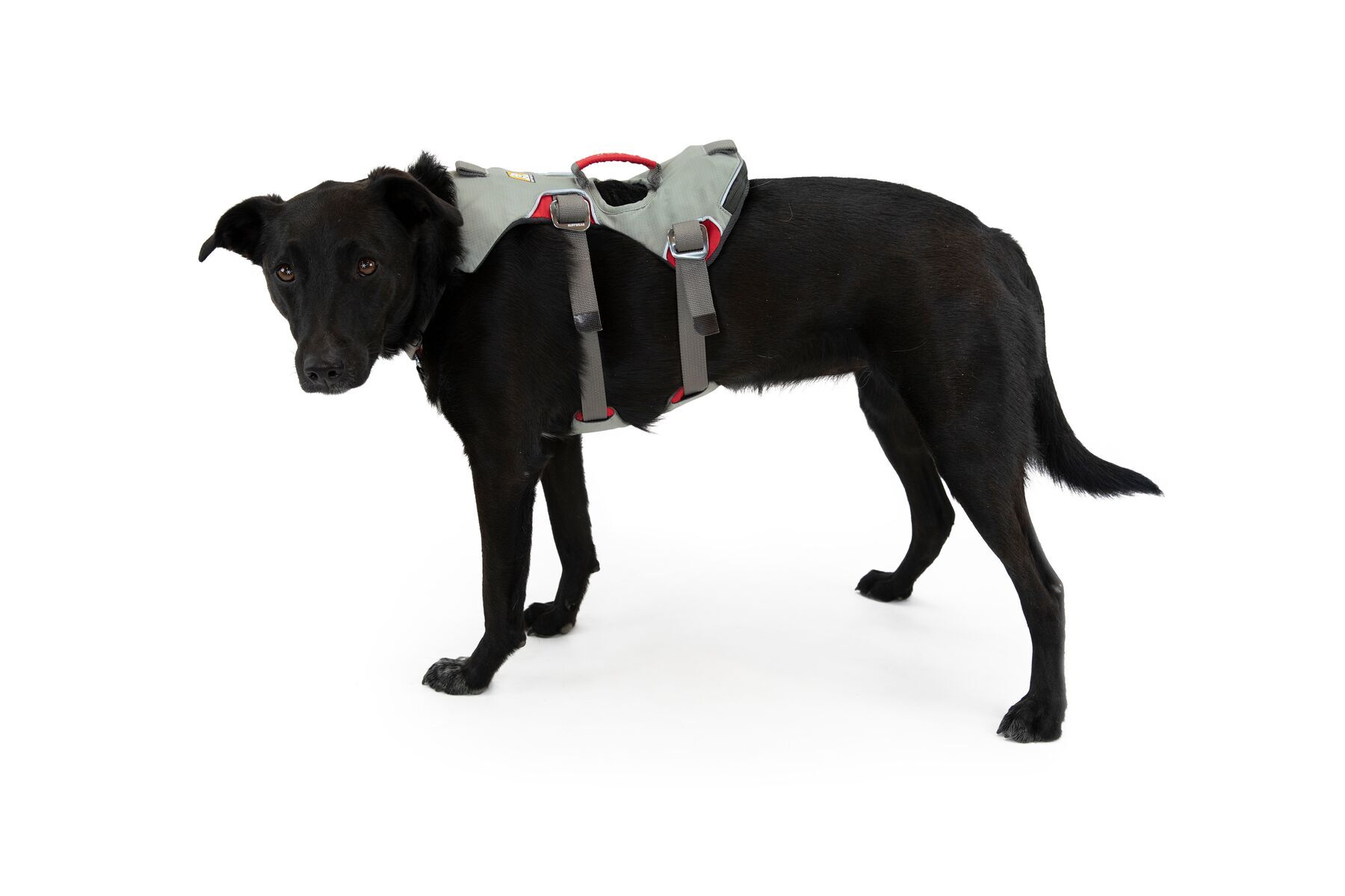 Ruffwear Hundegeschirre Ruffwear DoubleBack™ Geschirr L-XL