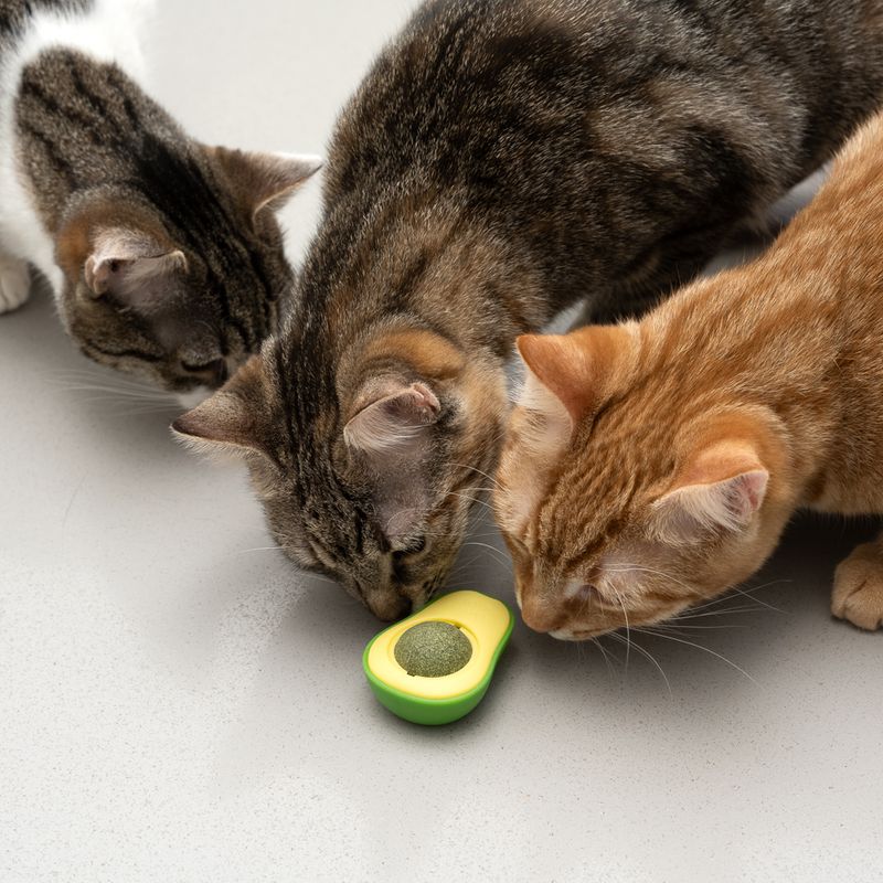 TIAKI Avocado mit Katzenminze-Ball zu TOP-Preisen