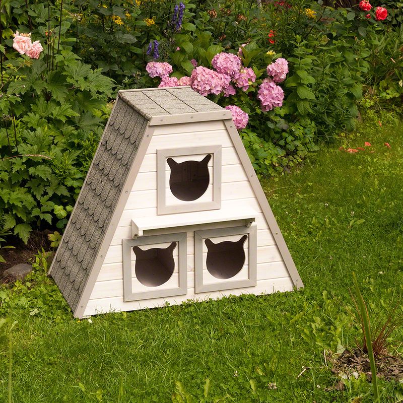 Katzenhaus Madeira zu TOP-Preisen