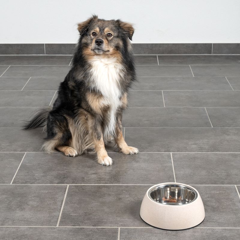 Modern Living Bio-Napf Sichuan für Hunde zu TOP-Preisen | bitiba