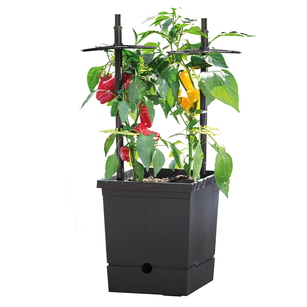 Romberg Powertec Garden Pflanztopf mit Rankhilfe und Wasserspeicher