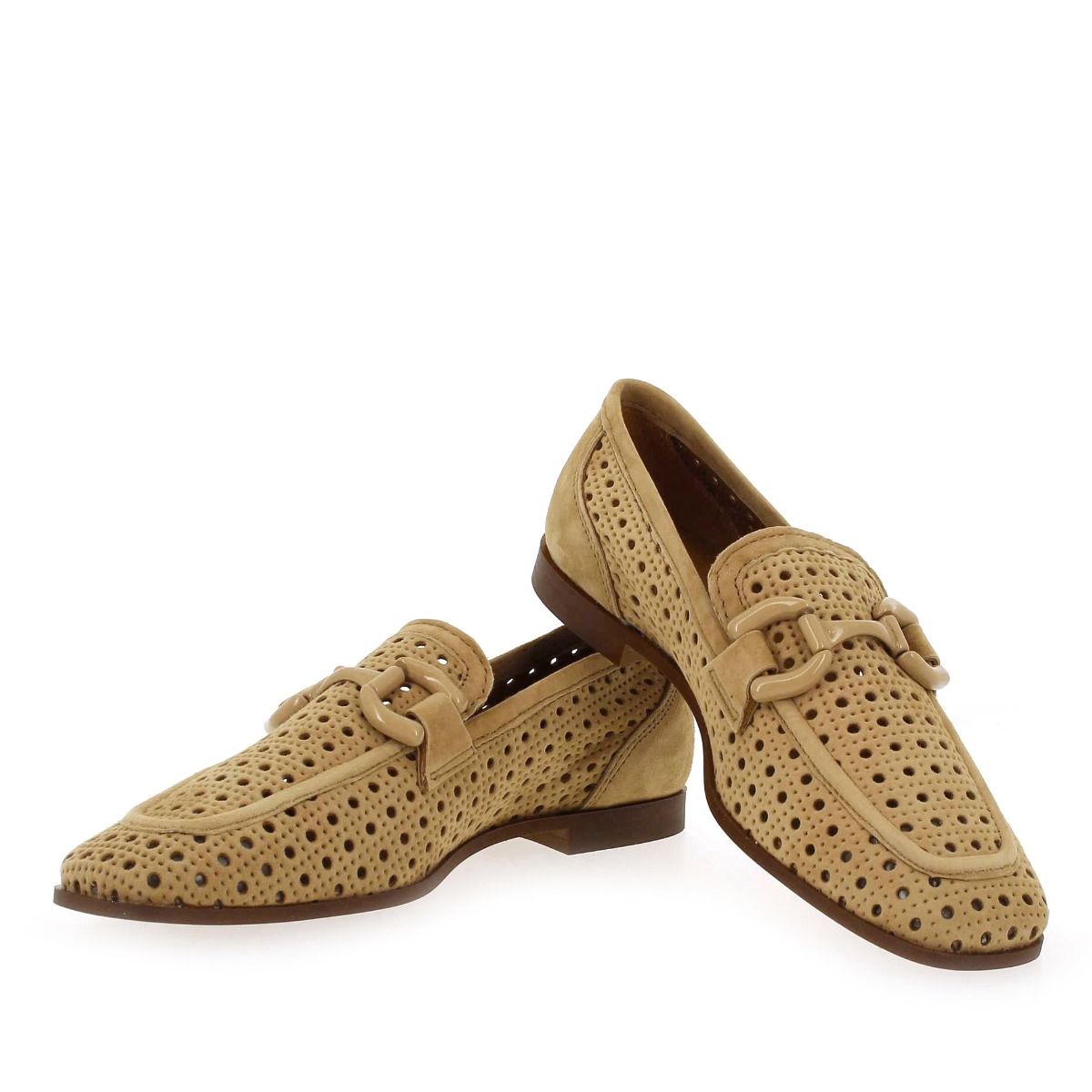 Alpe  2300 - Camel
