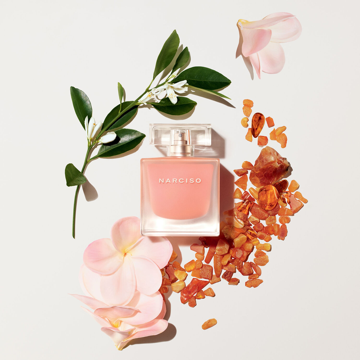 Narciso Rodriguez Eau Neroli Ambrée Eau de Toilette