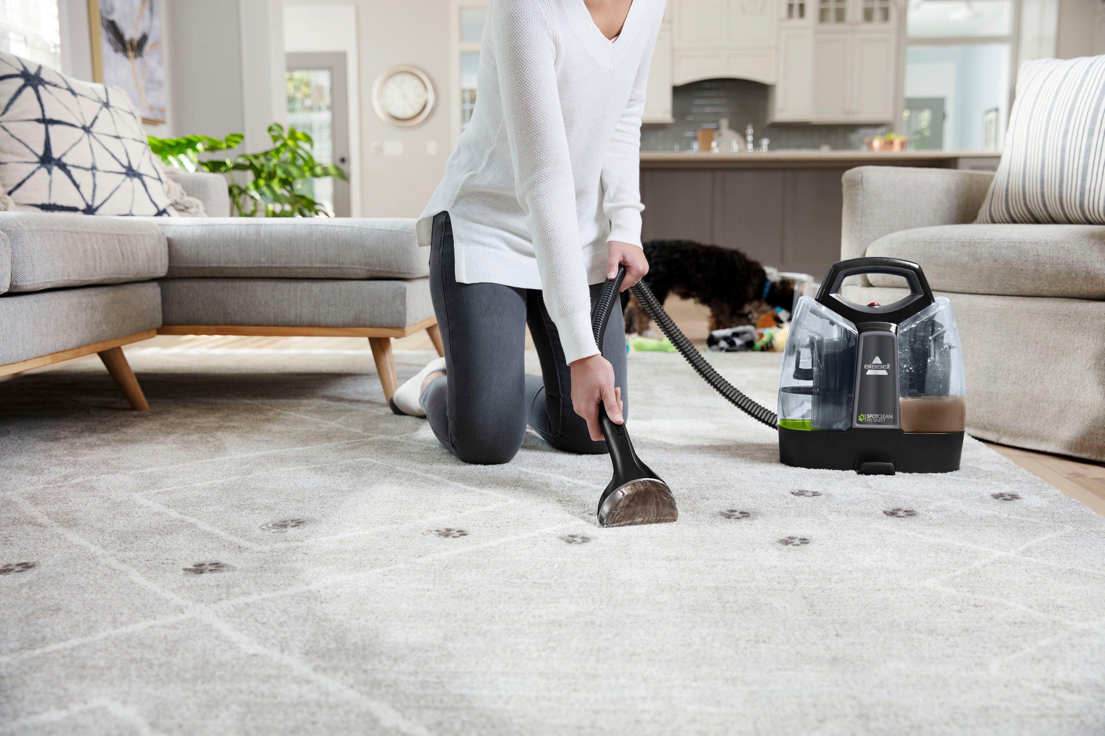 Bissell Nass-Trocken-Sauger Spotclean Pet Select, 330 W, beutellos