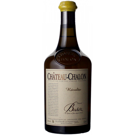CHÂTEAU-CHALON 2016 - DOMAINE BADOZ