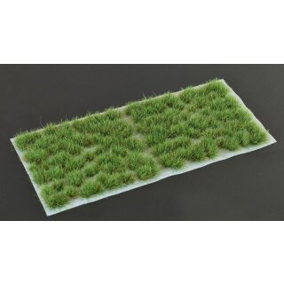Strong Green 6mm Wild
