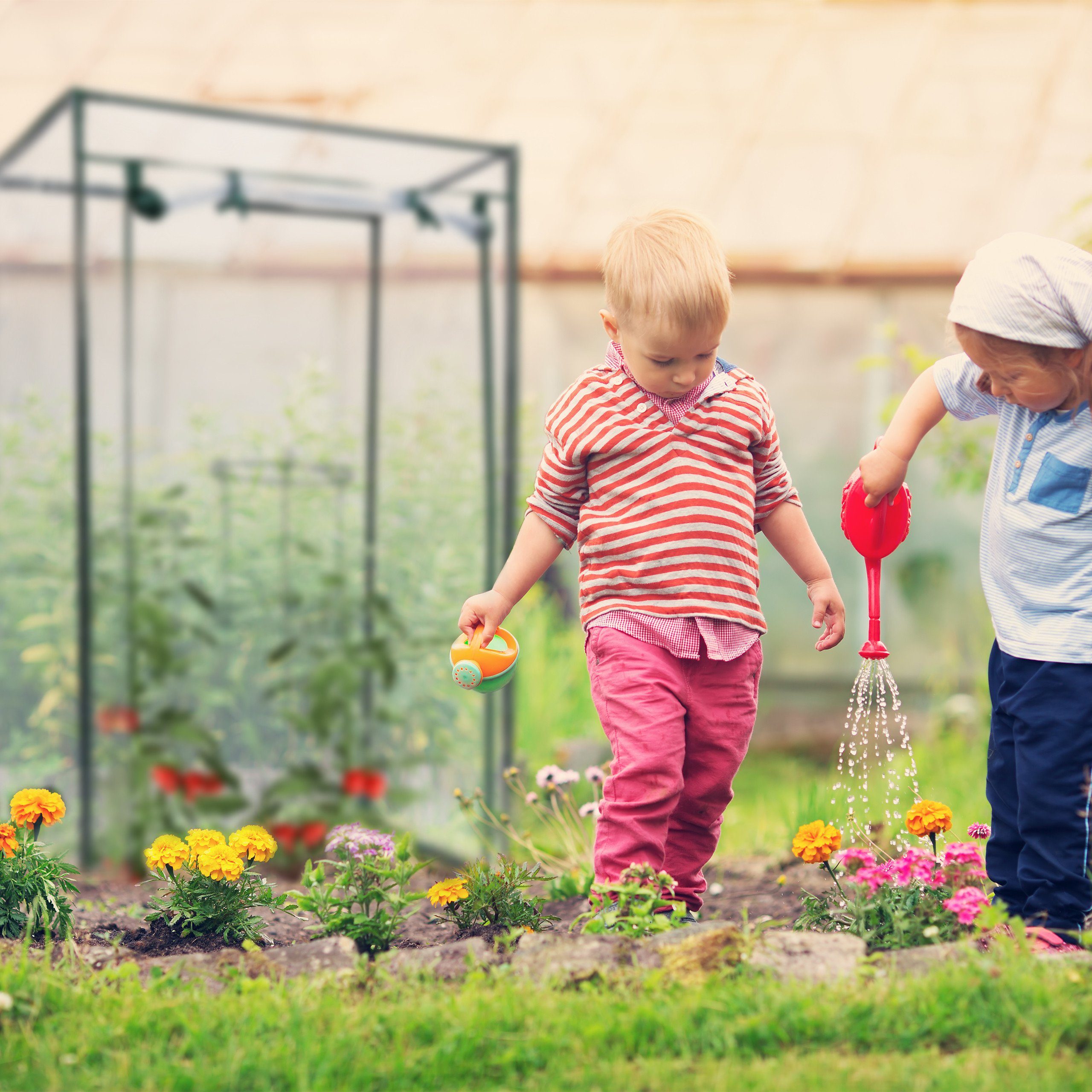 relaxdays Gewächshaus Gewächshaus für Tomaten mit Schrägdach, PE