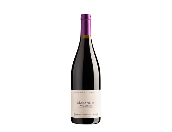 Antoine Reniaume Maranges Aux Arthaux Rouge 2022 Bourgogne Maranges