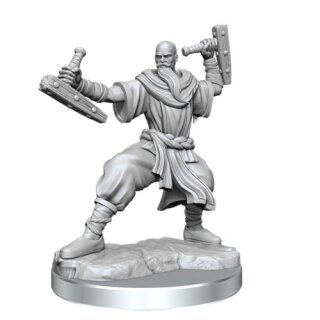 D&D Frameworks: Human Monk Male