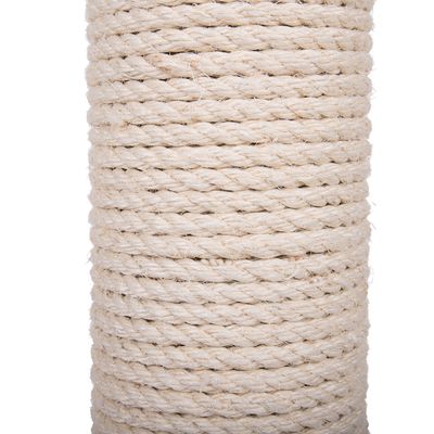 XXL Kratzstamm Premium