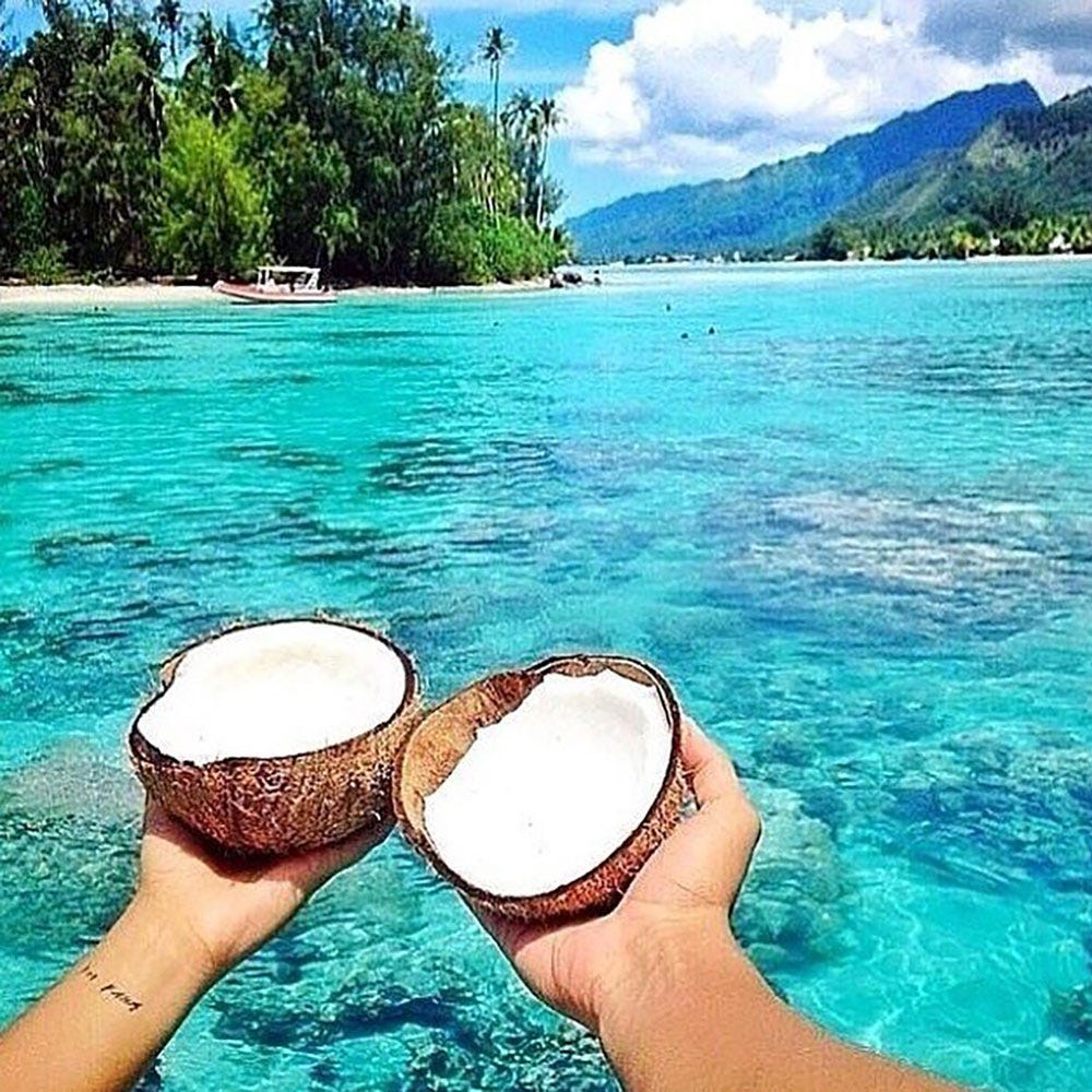 Nature’s Paradise Coconut & Papaya Shampoo 375 ml