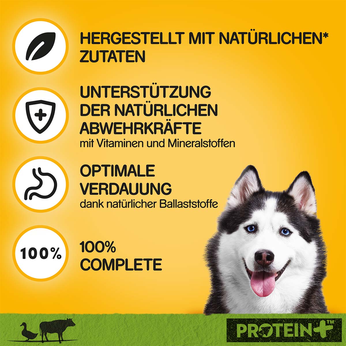 PEDIGREE Protein+ Pastete Ente & Rind günstig kaufen bei ZooRoyal