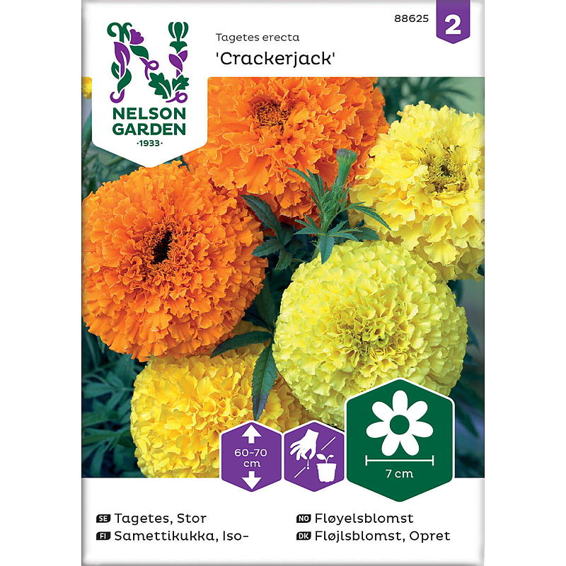 Nelson garden Frø Fløyelsblomst Crackerjack, høy