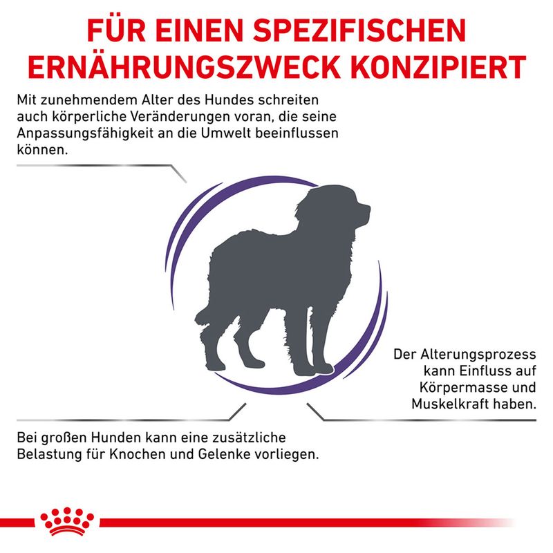 Royal Canin Expert Canine Mature Consult Large Dog