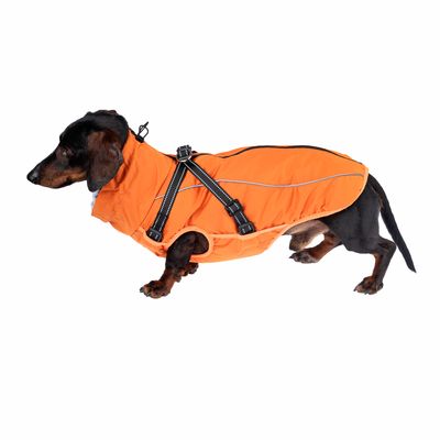 TIAKI Hundemantel mit Geschirr Arkon, orange