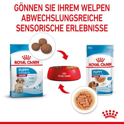 Royal Canin Medium Puppy in Soße
