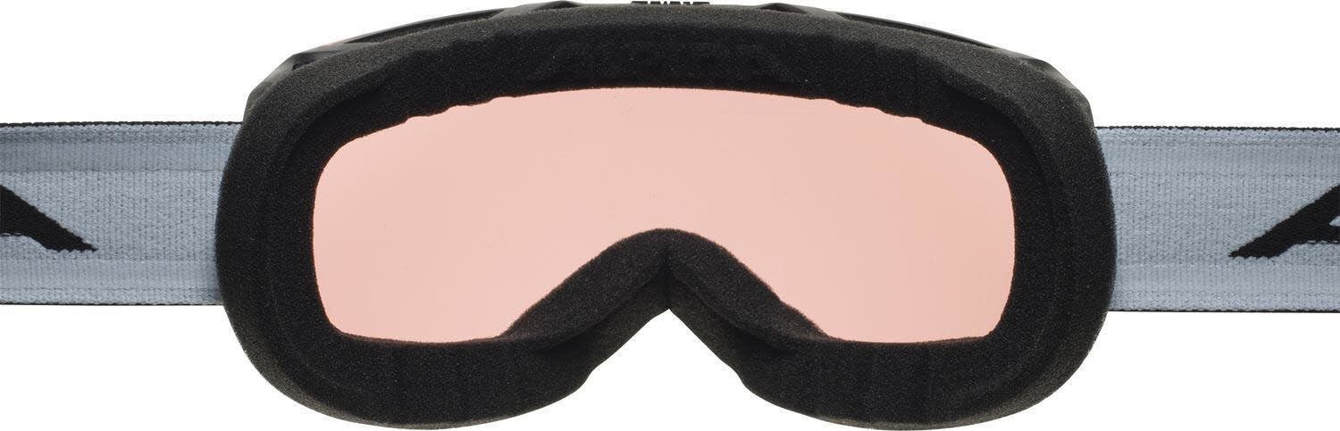Alpina Skibrille