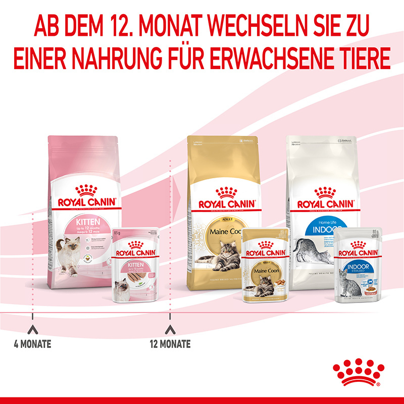 ROYAL CANIN Nassfutter ROYAL CANIN Kitten 12x85g Paté / Pastete/ Mousse