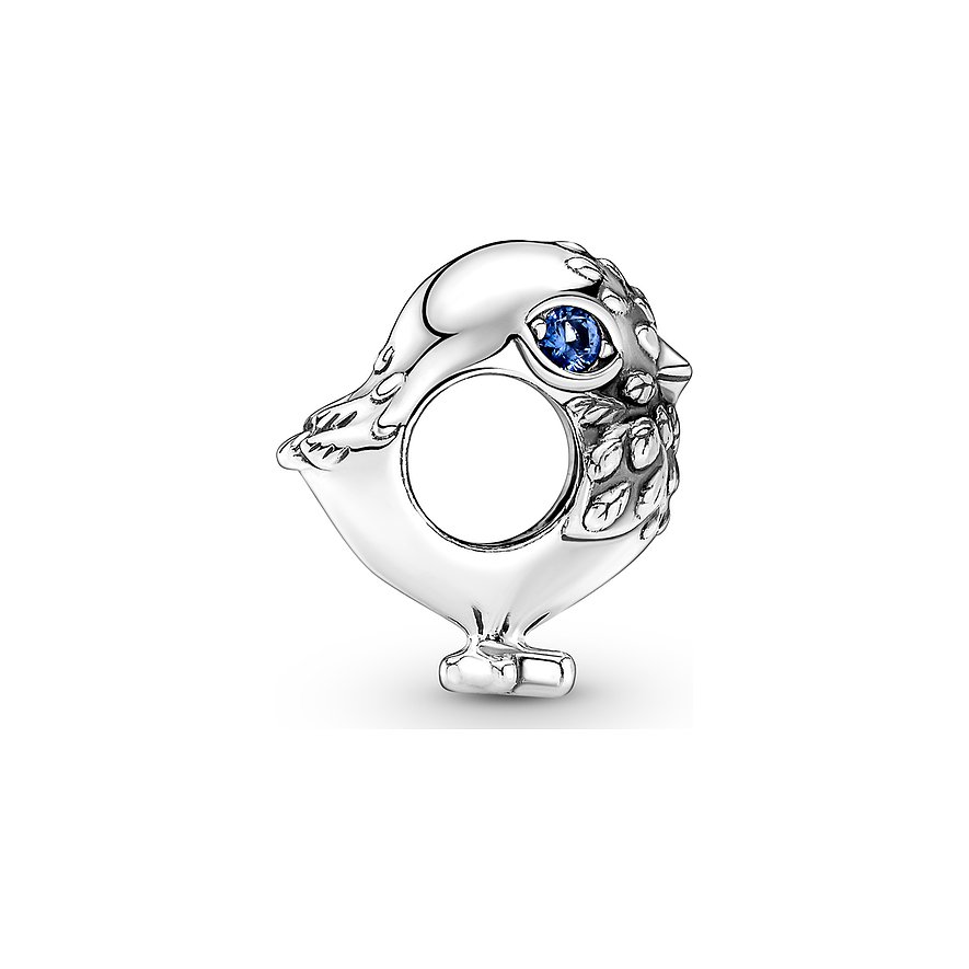 Pandora Charm Moments