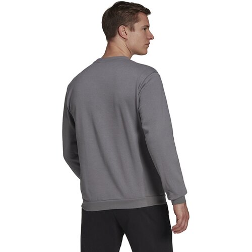 HERREN SWEATSHIRT ENTRADA 22 (NORMAL & LANG)