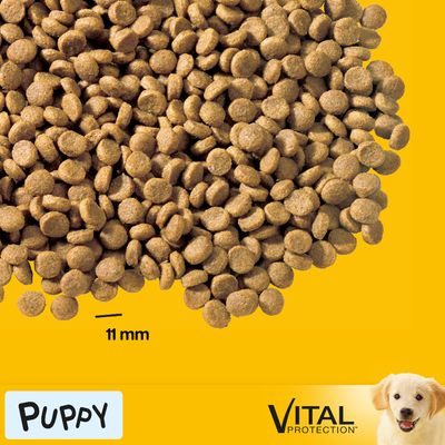 Pedigree Junior Medium mit Huhn & Reis