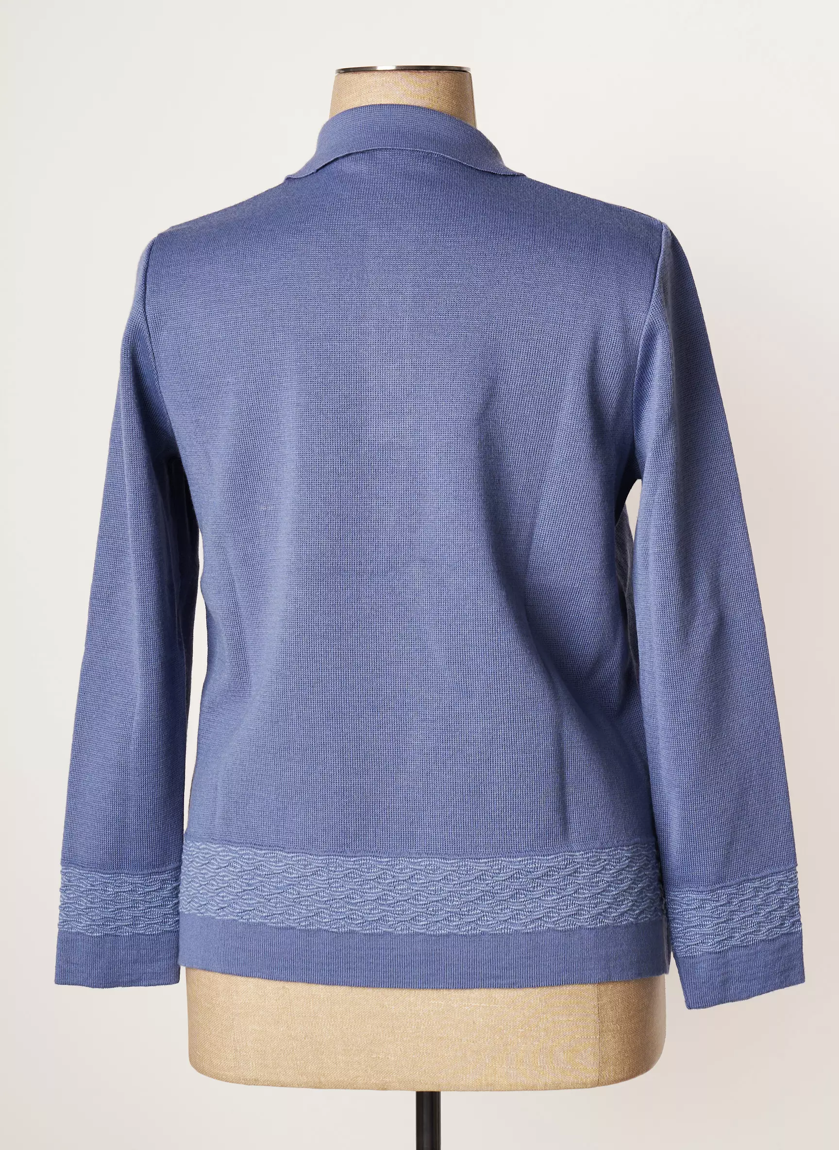 Eleane Pulls Femme couleur bleu