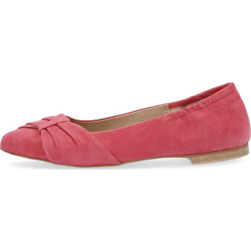 COX Ballerinas