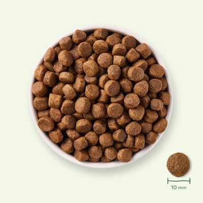 Yarrah Bio Getreidefrei mit Bio Huhn