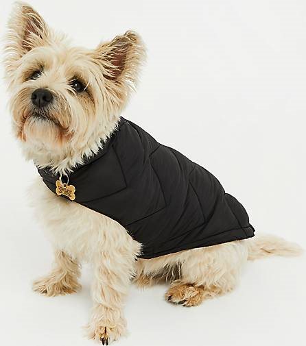 Threadbare Hundemantel