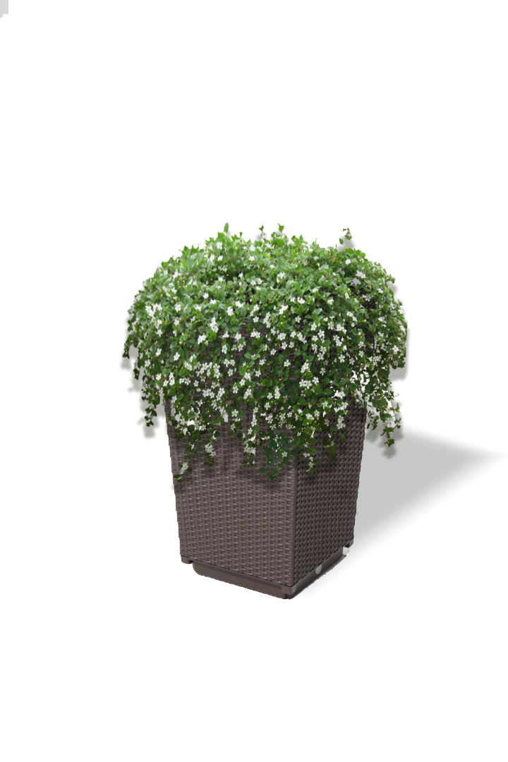 HC Garten & Freizeit Hochbeet ca. 32,5 x 32,5 x 57 cm