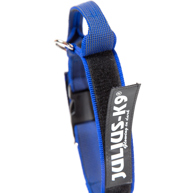 JULIUS-K9 Hundehalsbänder JULIUS-K9 Halsband mit Griff 50mm blau/ grau