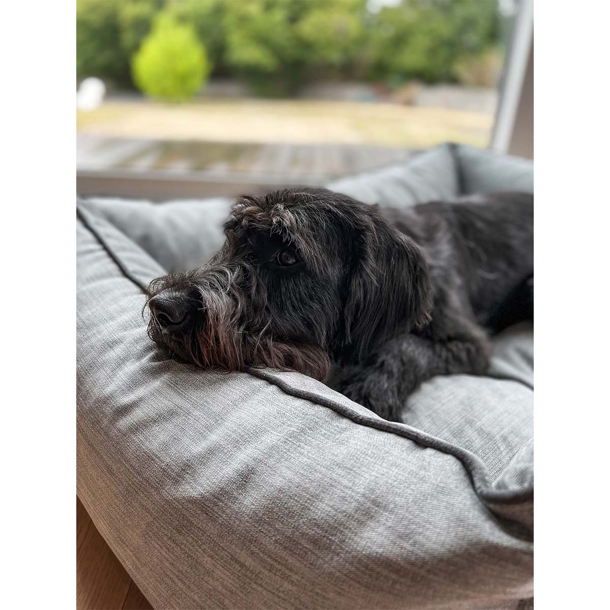 Aumüller Hundebett Sofa Ortho Line Grau kaufen bei ZooRoyal