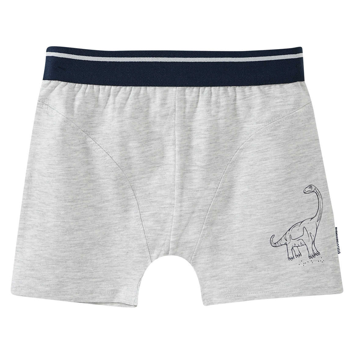 2 Jungen Boxer mit Dino-Motiv