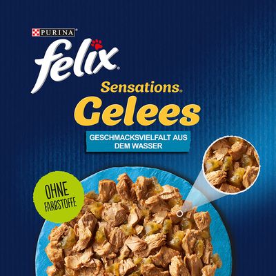 Felix 