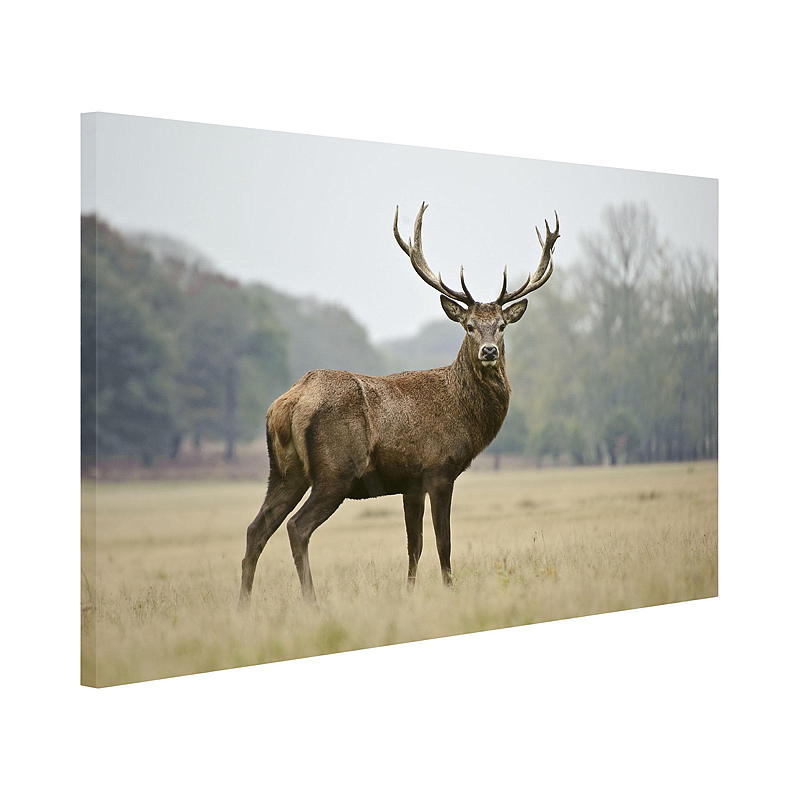Home Canvasbilde 40x60 cm